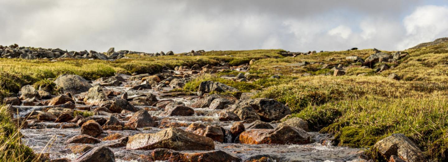 Rocky creek through tundra